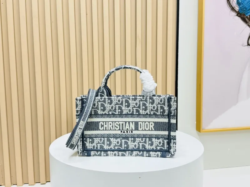 Dior Shopping Bags-142