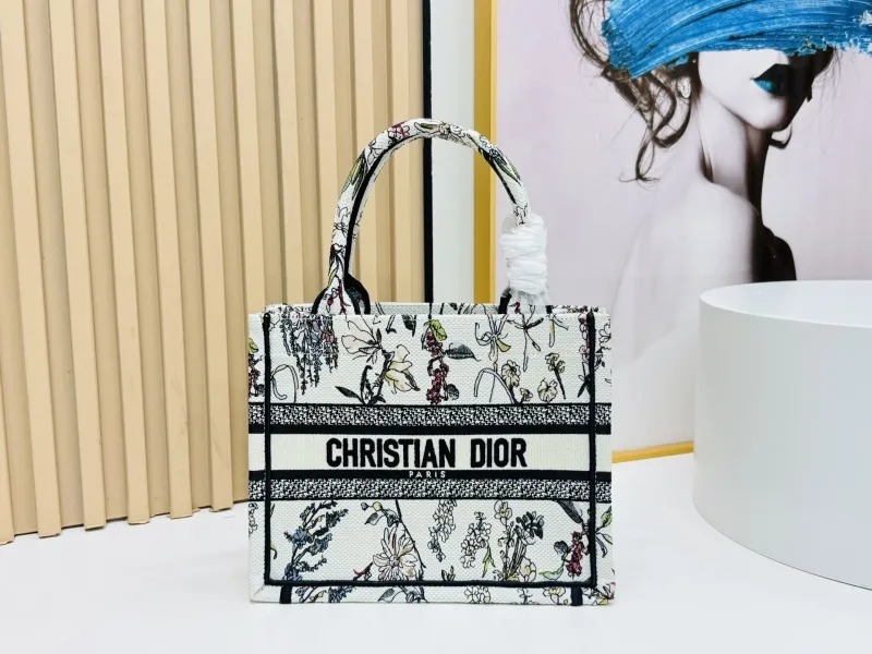 Dior Shopping Bags-151