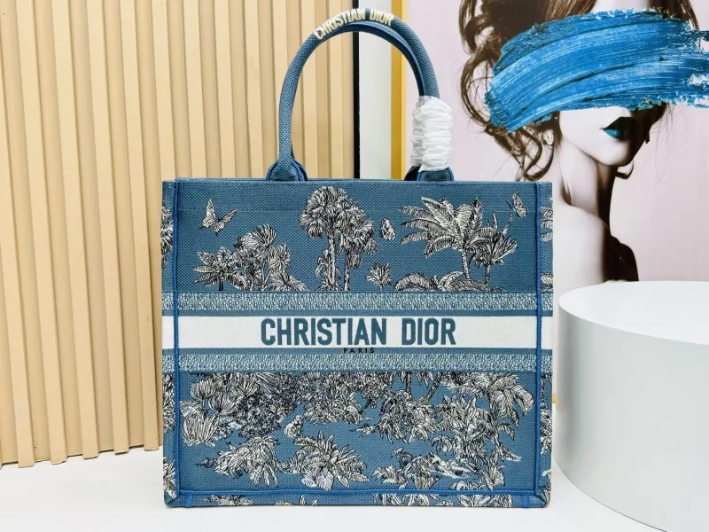 Dior Shopping Bags-152