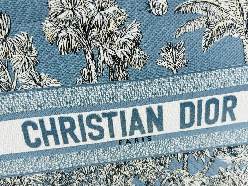 Dior Shopping Bags-153 - Image 6