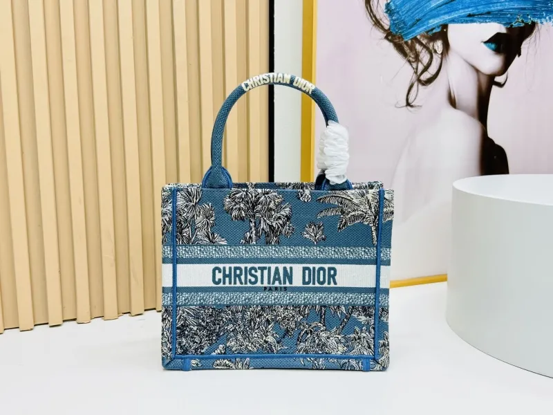 Dior Shopping Bags-154