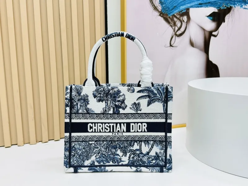 Dior Shopping Bags-157