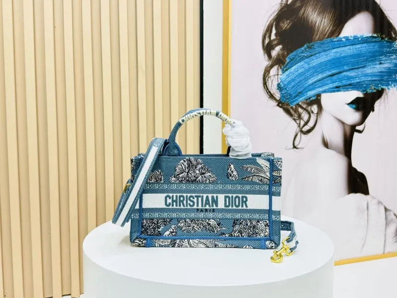 Dior Shopping Bags-159