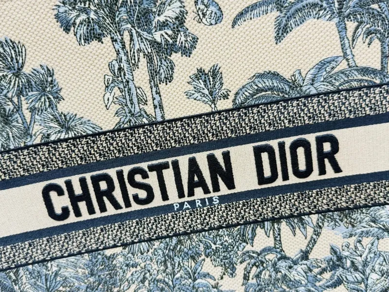Dior Shopping Bags-160 - Image 6