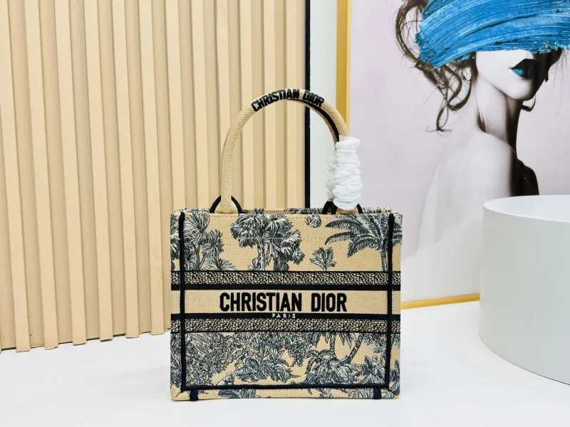 Dior Shopping Bags-162