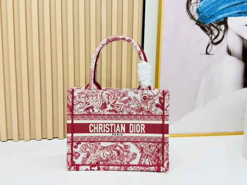 Dior Shopping Bags-174