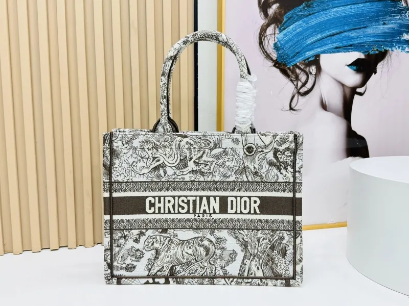 Dior Shopping Bags-176