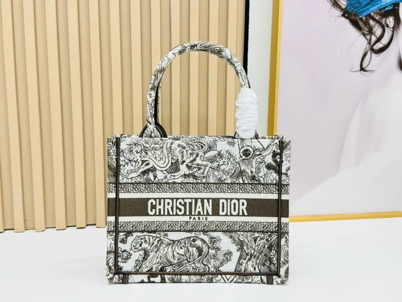 Dior Shopping Bags-177