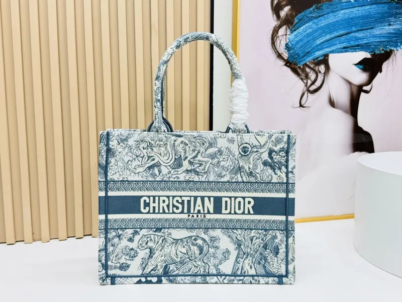 Dior Shopping Bags-179