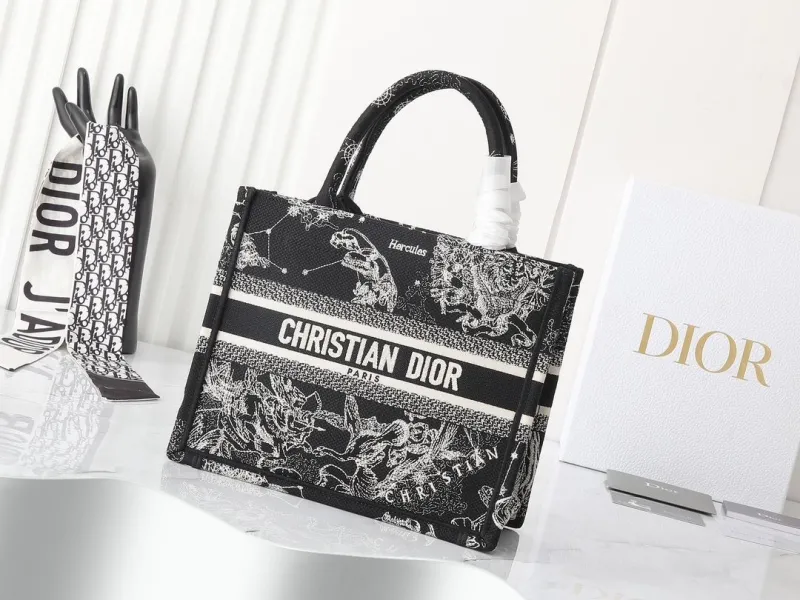 Dior Shopping Bags-188