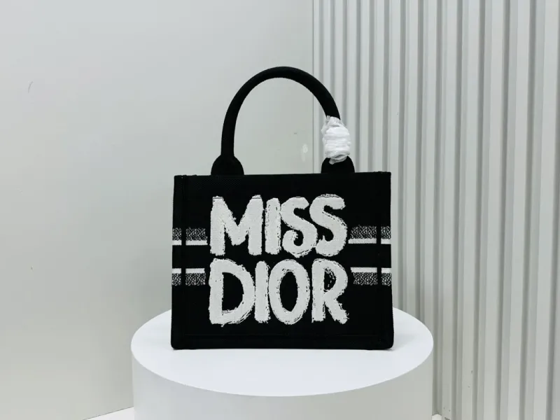 Dior Shopping Bags-192