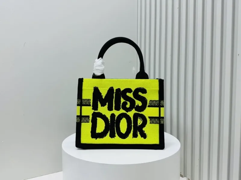 Dior Shopping Bags-194