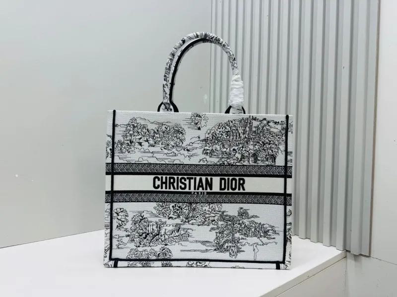 Dior Shopping Bags-199