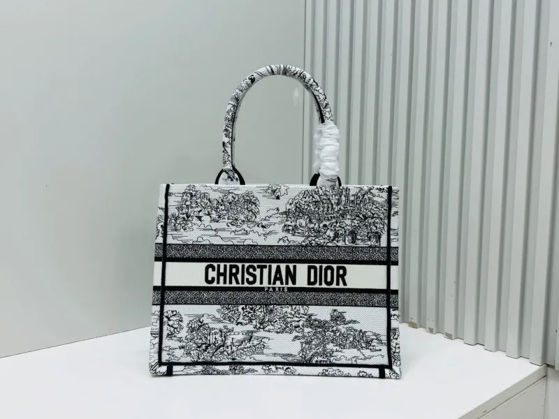 Dior Shopping Bags-200