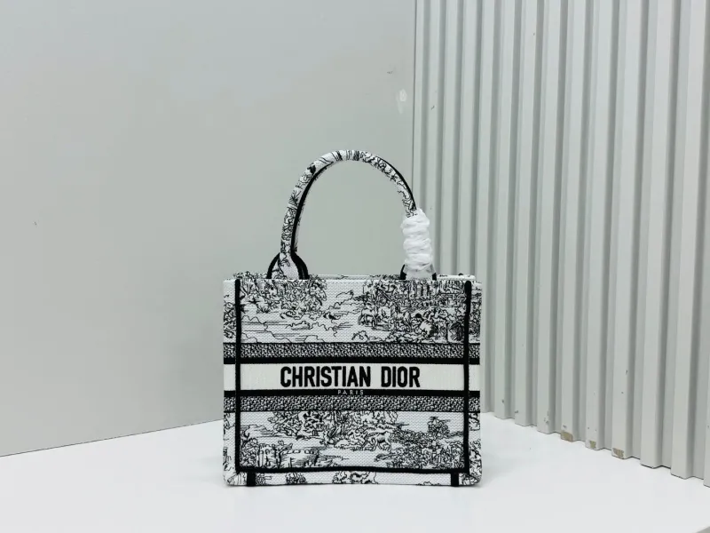 Dior Shopping Bags-201