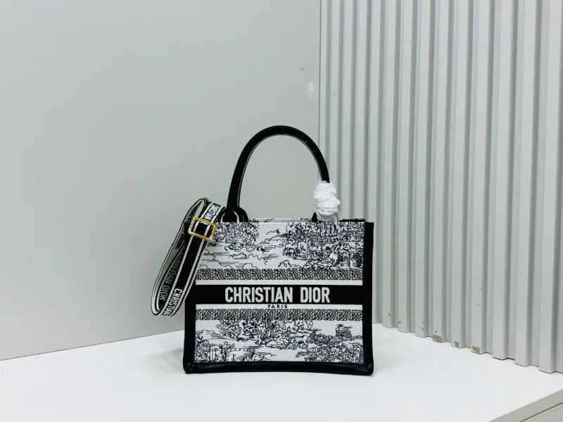 Dior Shopping Bags-202