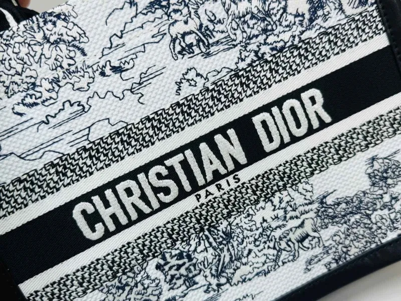 Dior Shopping Bags-202 - Image 6