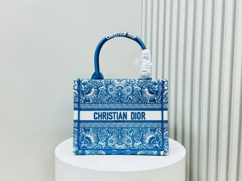 Dior Shopping Bags-224