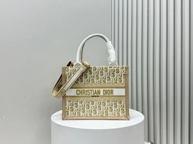 Dior Shopping Bags-240