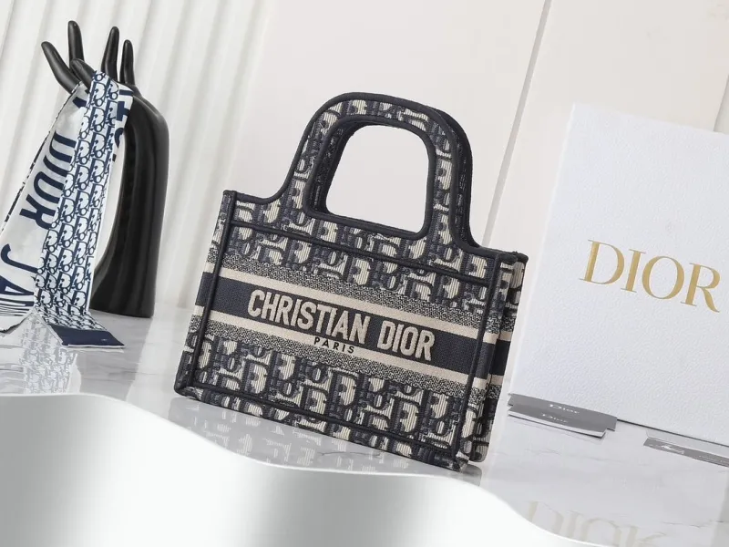 Dior Shopping Bags-246