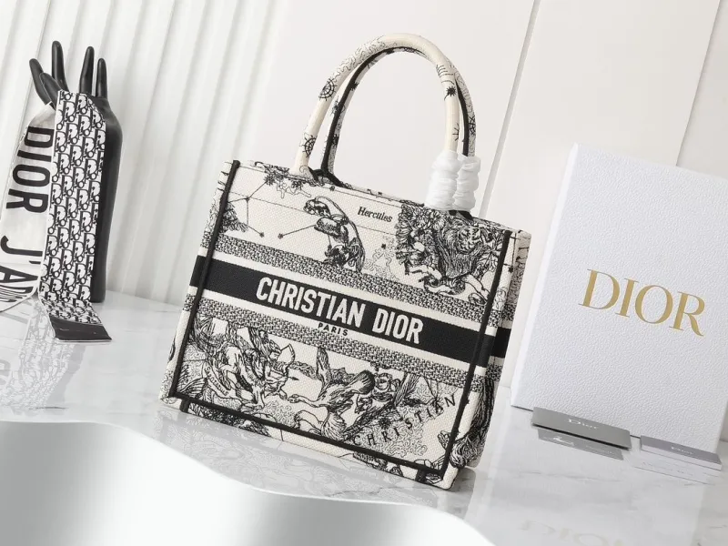 Dior Shopping Bags-272