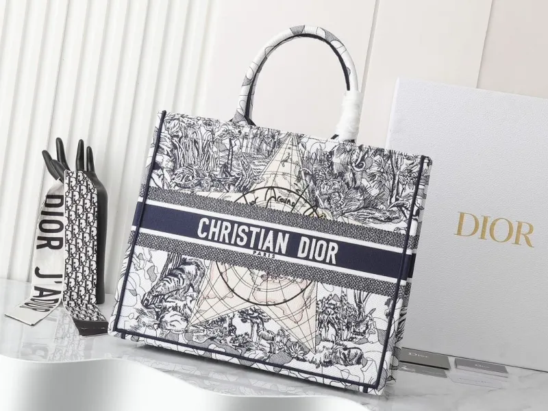 Dior Shopping Bags-273