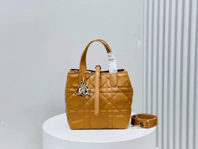 Dior Shopping Bags-300
