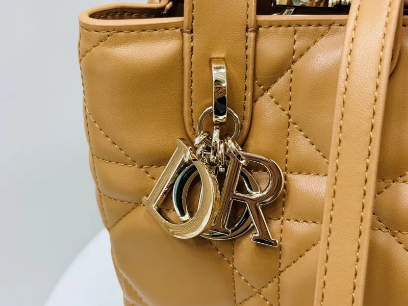 Dior Shopping Bags-300 - Image 5