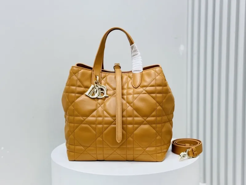 Dior Shopping Bags-301