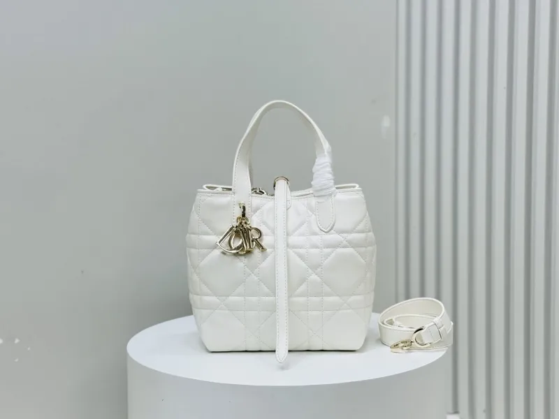 Dior Shopping Bags-302
