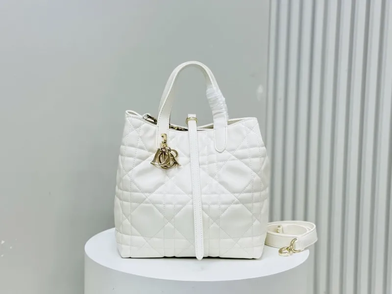Dior Shopping Bags-303