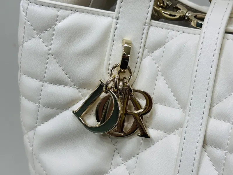 Dior Shopping Bags-303 - Image 5