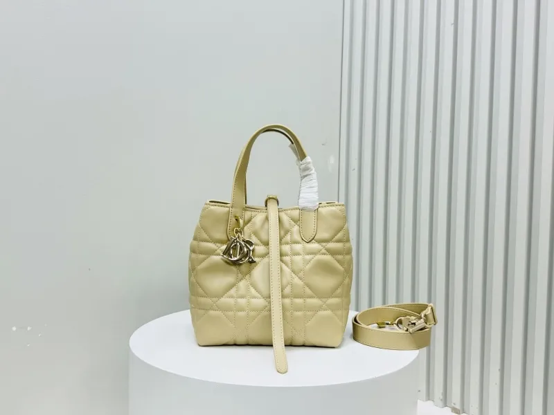 Dior Shopping Bags-304