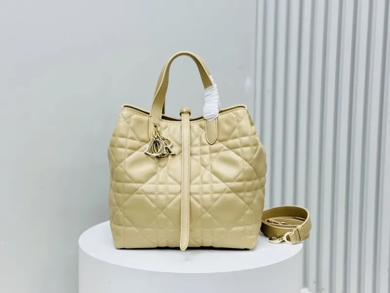 Dior Shopping Bags-305