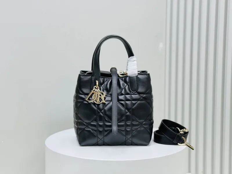 Dior Shopping Bags-306