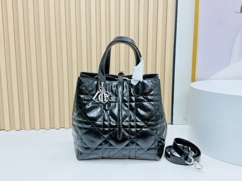 Dior Shopping Bags-309