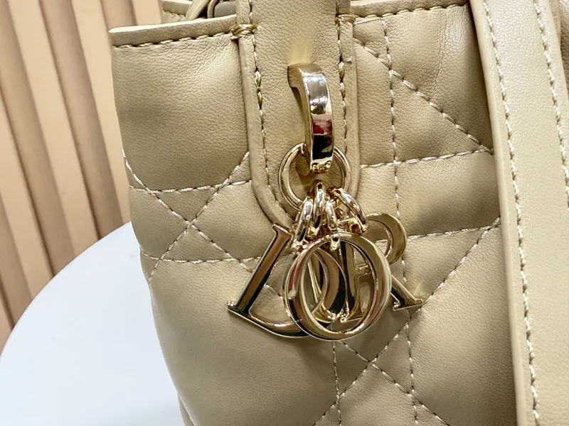 Dior Shopping Bags-310 - Image 5