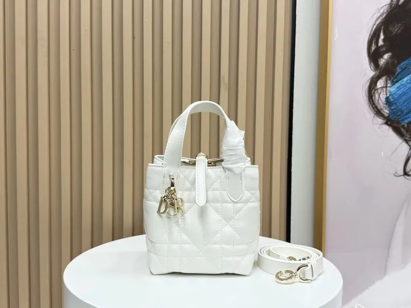 Dior Shopping Bags-311