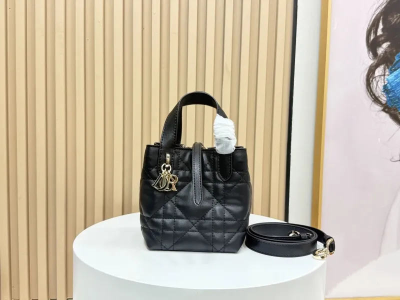 Dior Shopping Bags-313