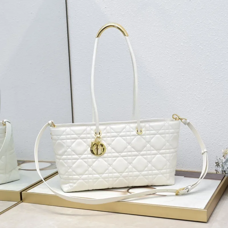 Dior Shopping Bags-316