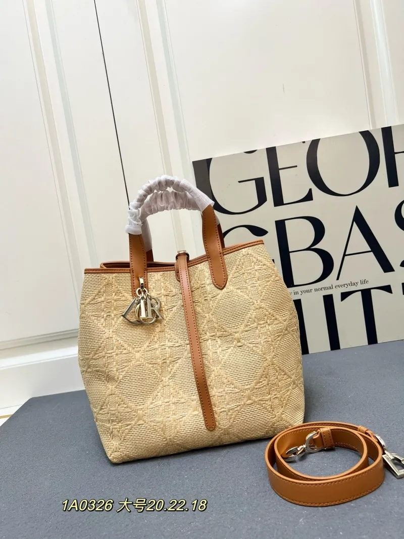 Dior Shopping Bags-319