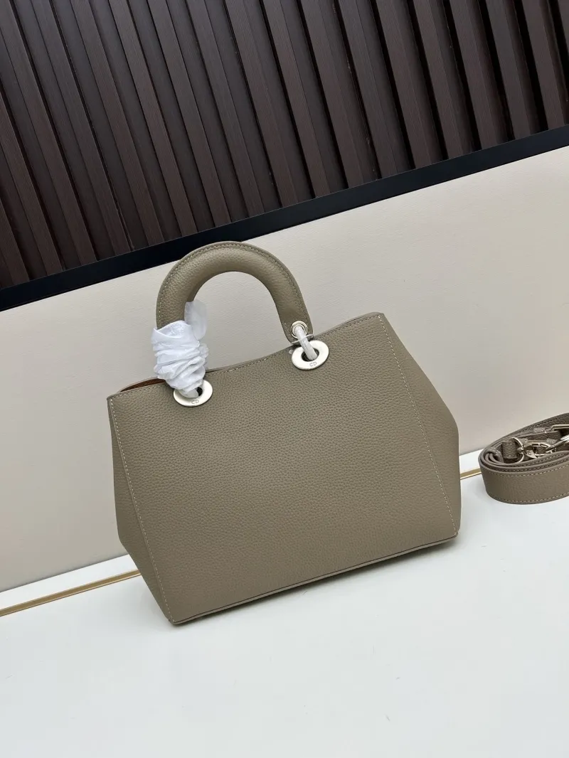 Dior Shopping Bags-353 - Image 4