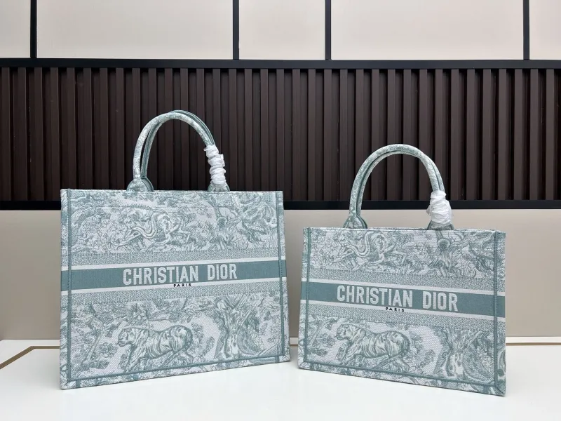 Dior Shopping Bags-361