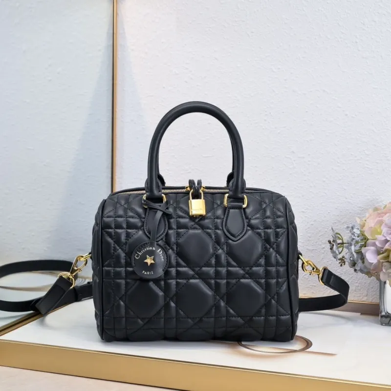Dior Speedy Bags-1