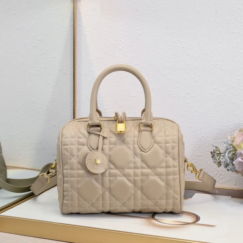 Dior Speedy Bags-2