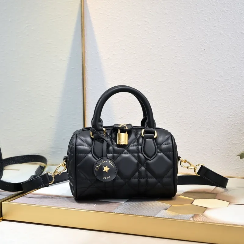 Dior Speedy Bags-5
