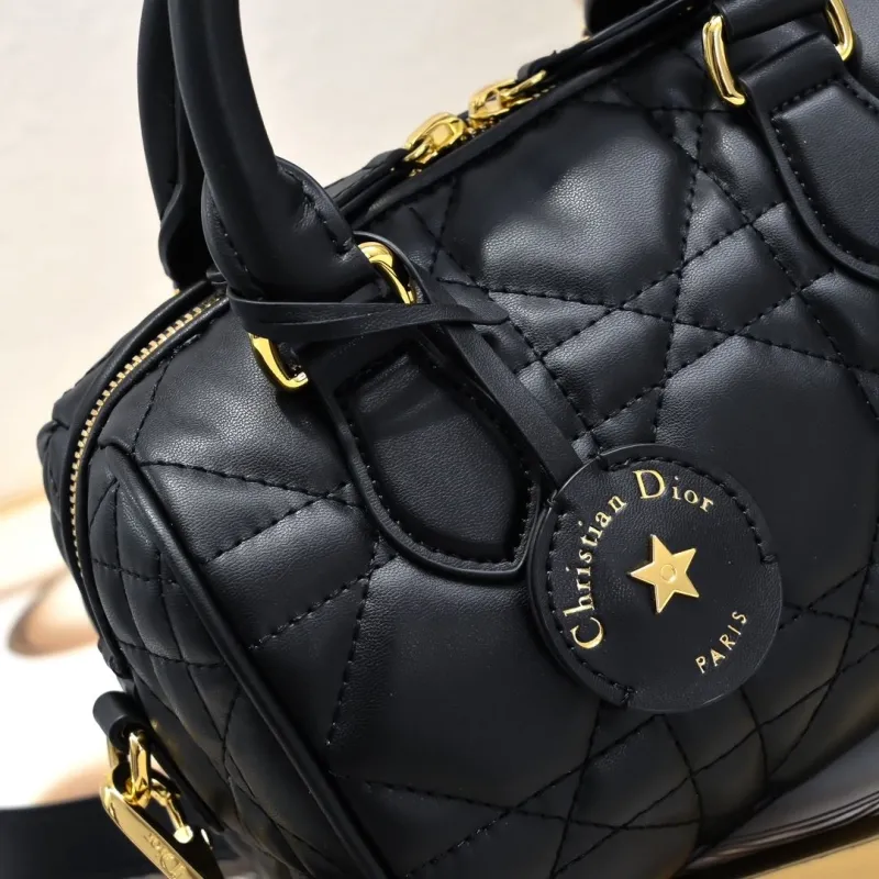 Dior Speedy Bags-5 - Image 5
