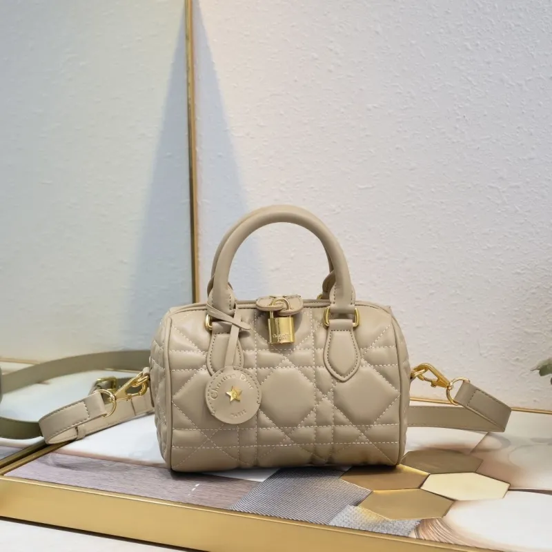 Dior Speedy Bags-6
