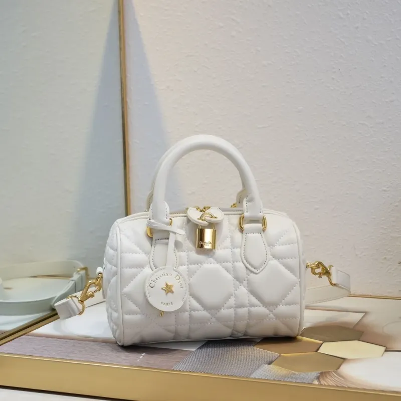 Dior Speedy Bags-7