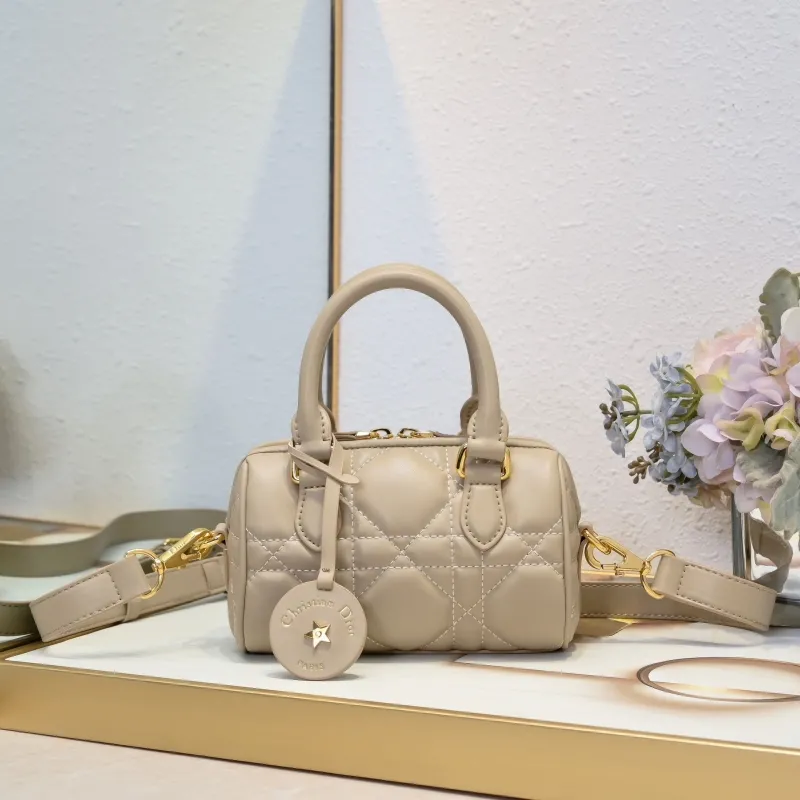 Dior Speedy Bags-9